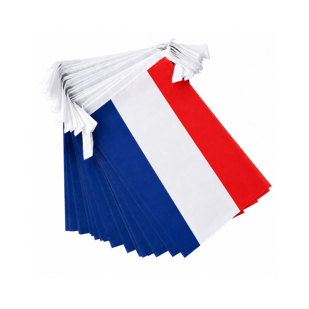 France World Cup 2026 String Flag Set (14×21cm)