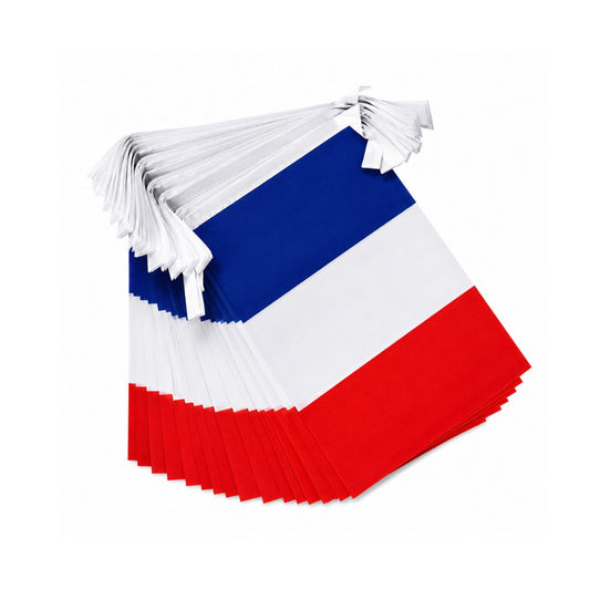 France World Cup 2026 String Flag Set (14×21cm)